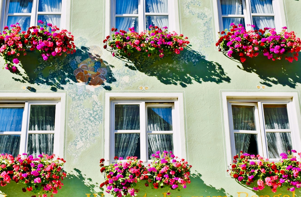 Pielęgnacja pelargonii na balkonie – sekret bujnego kwitnienia