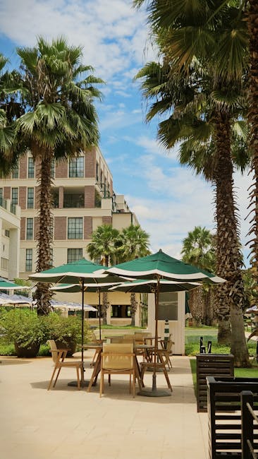 Rośliny na balkon słoneczny – gatunki odporne na upał