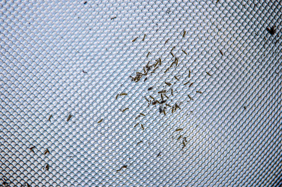 Pluskwy w mieszkaniu – jak rozpoznać i zwalczyć samodzielnie