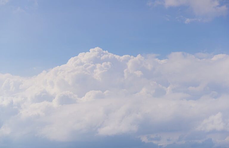 Zapachy w mieszkaniu – naturalne pochłaniacze zapachów