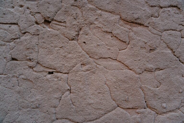 Tynk strukturalny w rolce – czy warto i jak aplikować