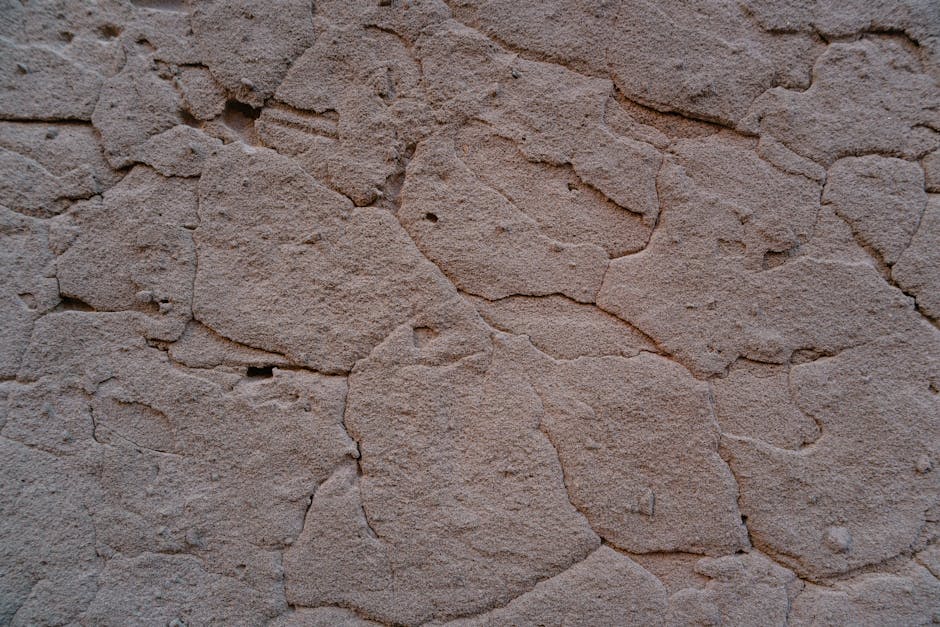 Tynk strukturalny w rolce – czy warto i jak aplikować