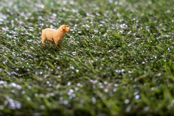 Close-up of a miniature sheep figurine in a field of artificial grass depicting a playful concept.