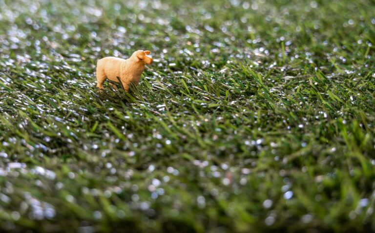 Close-up of a miniature sheep figurine in a field of artificial grass depicting a playful concept.