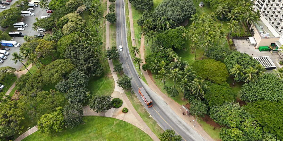 Aerial view of urban park with lush greenery and road, featuring palm trees and parked vehicles.
