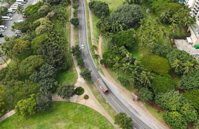 Aerial view of urban park with lush greenery and road, featuring palm trees and parked vehicles.