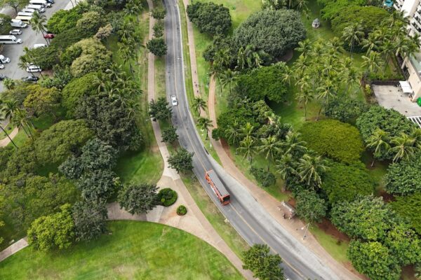 Aerial view of urban park with lush greenery and road, featuring palm trees and parked vehicles.