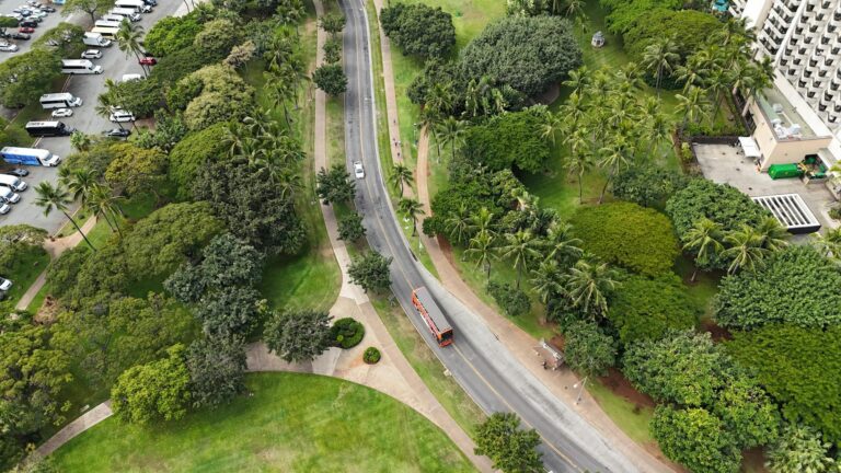 Aerial view of urban park with lush greenery and road, featuring palm trees and parked vehicles.