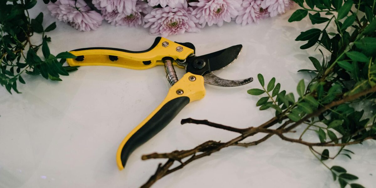 Colorful carnation bouquet with a bright yellow pruning tool, perfect for floral enthusiasts.