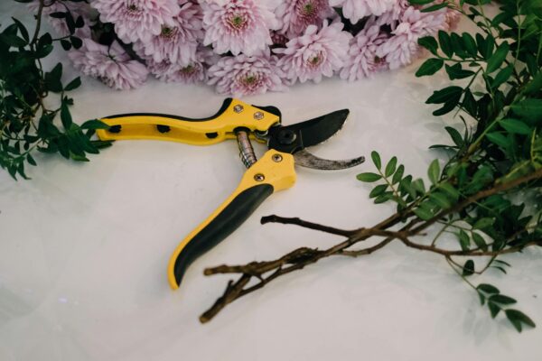 Colorful carnation bouquet with a bright yellow pruning tool, perfect for floral enthusiasts.