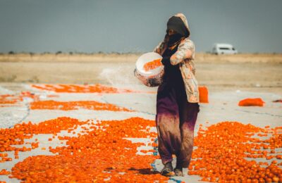 Woman spreading fresh tomatoes on a sunny day for drying process outdoors.