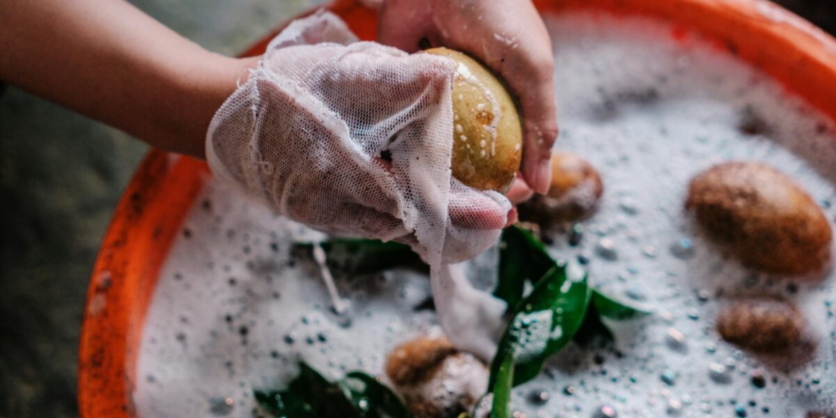 Hands washing potatoes in soapy water with plant leaves using a white cloth.