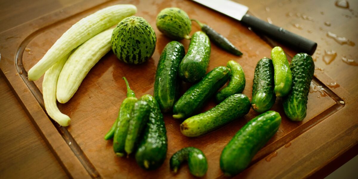 A variety of fresh cucumbers arranged on a wooden chopping board with a knife.