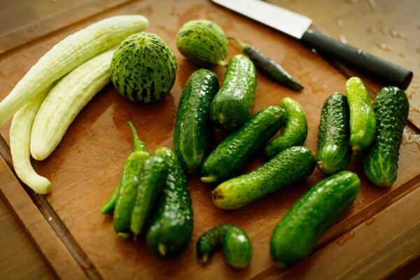 A variety of fresh cucumbers arranged on a wooden chopping board with a knife.