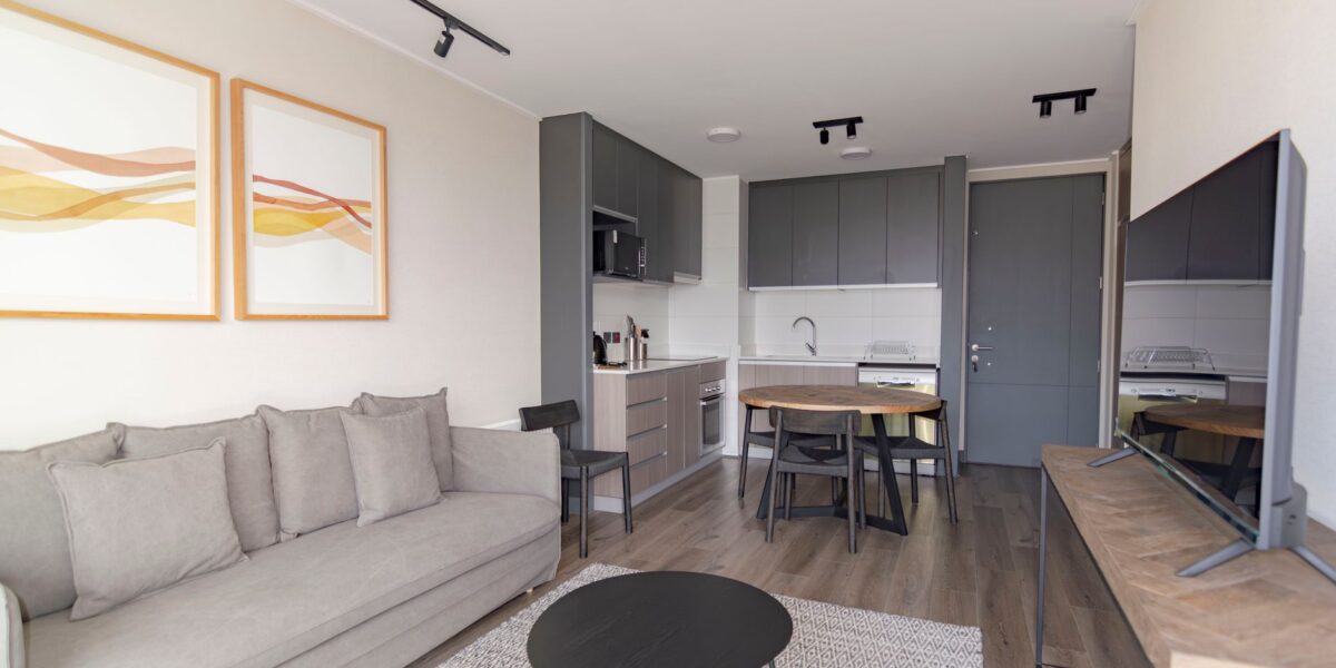 Elegant modern living space with grey couch, minimalist decor, and open kitchenette.