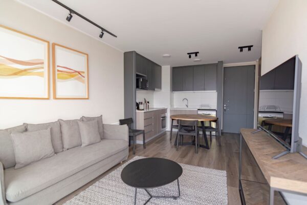 Elegant modern living space with grey couch, minimalist decor, and open kitchenette.