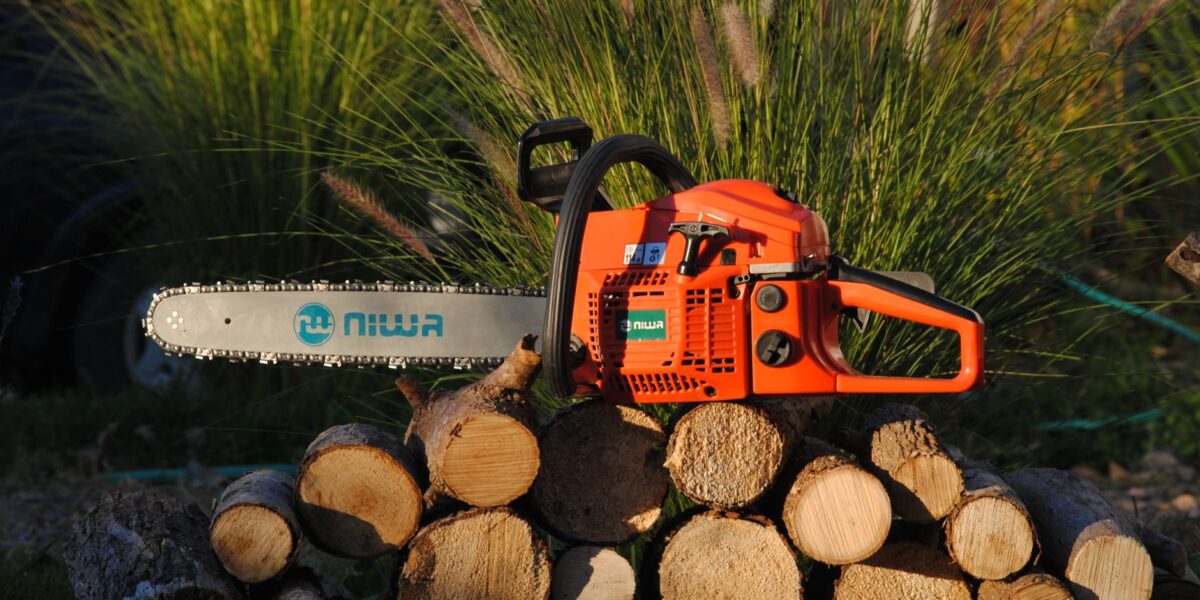 Orange chainsaw resting on cut logs in a sunlit garden, surrounded by greenery.