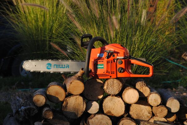 Orange chainsaw resting on cut logs in a sunlit garden, surrounded by greenery.