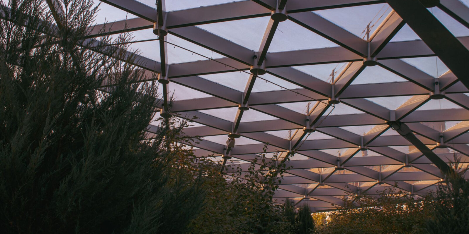 Interior view of a modern greenhouse with a geometric steel frame and lush greenery in Moscow, Russia.