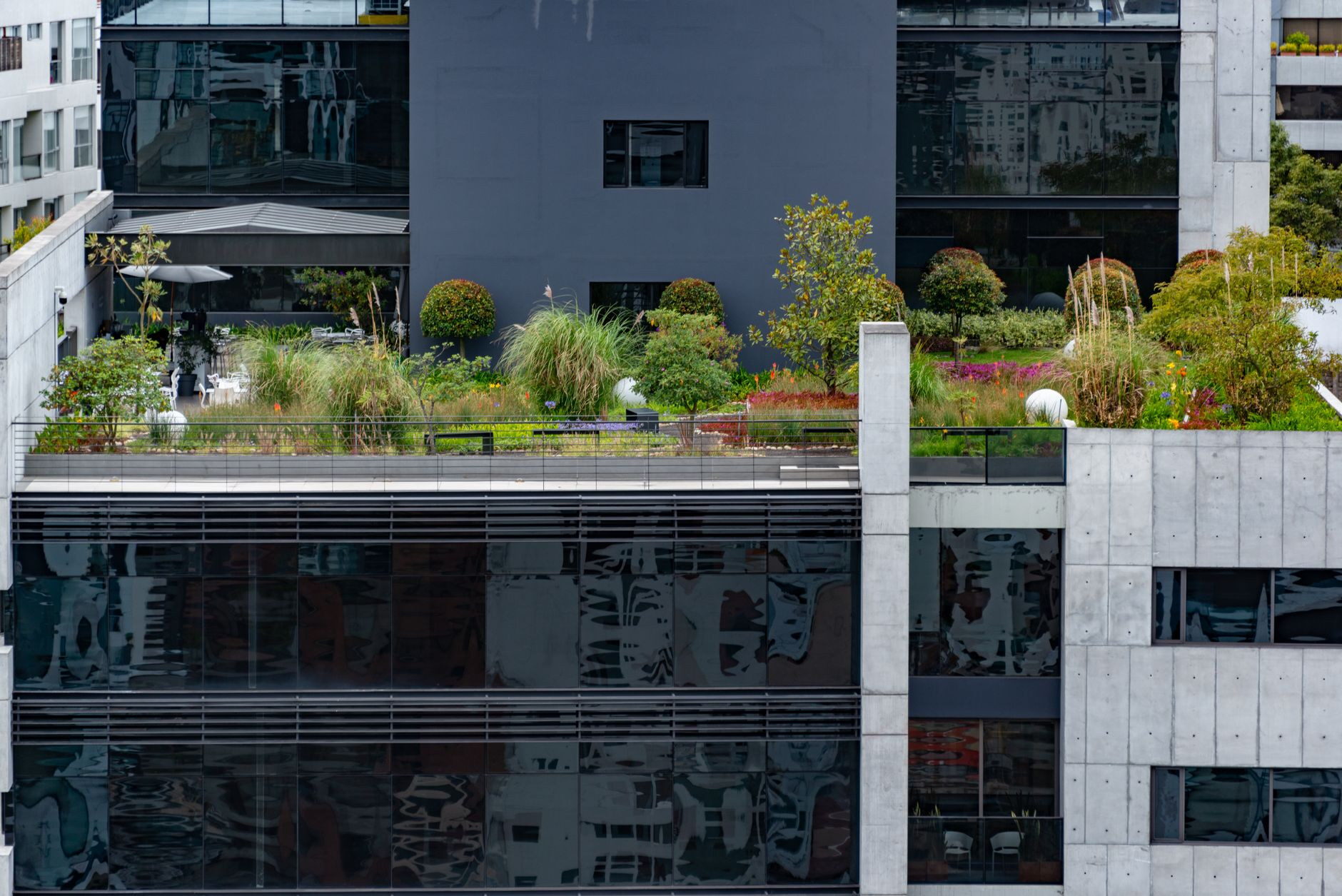 Explore a vibrant rooftop garden nestled among modern buildings, showcasing urban greenery and architectural charm.