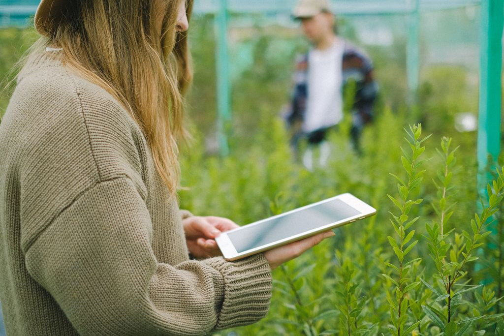 Technologia w służbie ogrodu – automatyzacja i smart gardening
